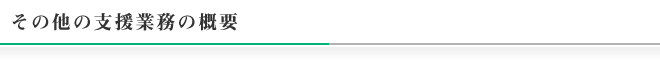 その他の支援業務の概要