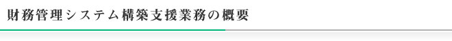 財務管理システム構築支援業務の概要