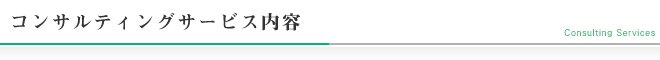 コンサルティングサービス内容